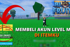 Login Free! Kumpulan Akun Blox Fruits Februari 2024, Level Sultan 1000-1500 Mainkan Sekarang