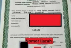 Cara Melihat Nomor Ijazah SMA/SMK, Berikut Perbedaan Tata Letaknya dan Ikuti Panduan Bacanya Disini