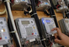Tarif Biaya Listrik Per kWh PLN Terbaru Bulan Mei 2024, Intip Sekarang! Apakah Ada Kenaikan Harga yang Signifikan?