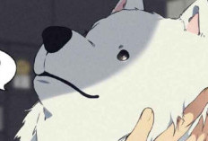 RAW Lisez du Manhwa Lost In The Cloud Chapitre 111 Scans VF VF Gratuits, Visage Très Adorable !