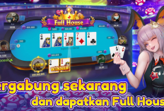 Download Royal Play Terbaru 2024 Unlimited Money, Game Slot Online Terpercaya Pengganti Higgs Domino Island
