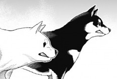 Manga Mato Seihei no Slave (Chained Soldier) Chapter 137 Bahasa Indonesia Segerombol Anjing Ini Bikin Ribut Beneran 