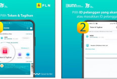Cara Mengetahui Kode Transaksi Pelanggan PLN Terbaru 2024, Bayar Jadi Mudah Tanpa Ribet Lagi!