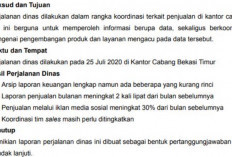 Cara Membuat Laporan Kegiatan yang Baik dan Benar, Ikuti Langkah-langkah Berikut Ini Ya