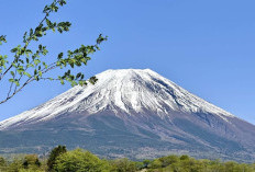 Identitas WNI yang Meninggal di Pendakian Gunung Fuji Jepang, Ditemukan Sudah Tak Bernyawa!