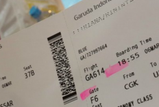 Kumpulan Kode Rahasia Boarding Pass Pesawat Semua Maskapai, yang Doyan Travelling Wajib Tau