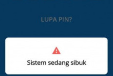 Aplikasi DANA Error Hari Ini 24-25 Februari 2024 Tidak Bisa Login, Ini Penyebab dan Cara Mengatasinya!
