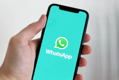 Kumpulan Alamat Proxy WhatsApp Lengkap Dengan Cara Settingnya di iPhone dan Android 