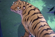 RAW Baca Manhwa Forbidden Odd Melody (Song Of The Golden Beast) Chapter 19 Indonesia, Masa Lalu Dohwi yang Menyedihkan