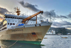 Jadwal Kapal Laut Dobonsolo Maret 2023, Total Waktu Pelayaran Lebih dari 1 Minggu