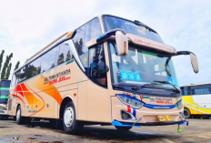 Harga Tiket dan Jadwal Bus Murni Jaya Sore Terbaru 2023 Untuk Semua Rute Perjalanan