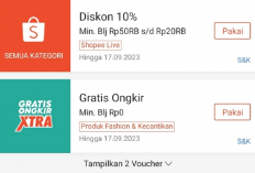 Bisa Cashback 100% di Semua Marketplace ! Cek Kode Voucher Promo Shopee Desember 2023, Buruan Ambil Sebelum Expired