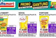 Promo Alfamart JSM 1-3 Maret 2024, Mulai Sembako hingga Perlengkapan Baby Turu Harga Semuanya!