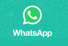 Tutorial Buka File Database Whatsapp di PC/Laptop Terbaru 2023, Semua File Auto Kelihatan dan Dijamin Berhasil 100%