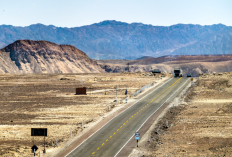 Daftar Jalan Tol Terpanjang di Dunia 2023, Didominasi Wilayah Amerika Serikat