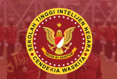 Lulusan STIN Jadi Apa? Prospek Kerja Terjamin! Ternyata Begini Keunggulan Sekolah Kedinasan