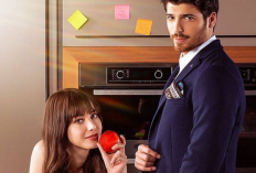 Sinopsis Drama Dolunay (Full Moon), Kisah Seorang Chef yang Ceria dan Pengusaha Muda yang Dingin