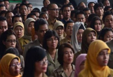 Update Uang Lauk Pauk PNS Daerah 2024, Kesejahteraan di Era Baru! Cek Besaran Rincian Terbarunya