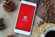 Berapa Lama Proses Pencairan Pinjaman OCBC NISP? Para User Simak Disini Yuk!