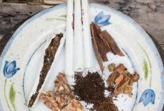 Cara Meracik Rokok Surya Termantul, Membongkar Rahasia Rokok Terenak dengan Modal Murah!