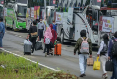 Cara Registrasi dan Rute Perjalanan Mudik Gratis Pegadaian 2024, Cek Syarat dan Ketentuan nya!