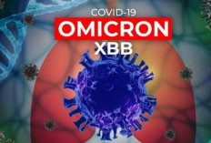 Gejala Ommicron Kraken Hingga BF.7 Varian Baru Covid-19, Perlu Waspada Meski Tidak Berat!