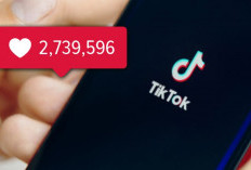 Rekomendasi 7 Auto Like TikTok Online Gratis Tanpa Aplikasi, Bisa Bikin VT Kamu Langsung FYP 