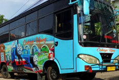 Bus Makassar Kendari Terbaru 2023 dan Full AC, Ongkos Mulai dari Rp250.000