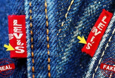 Harga Celana Levi's 501 Asli Ori Bulan Agustus Tahun 2023, Harga Mulai 600 Ribuan!