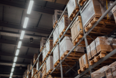 Apakah Loker PT Mitra Supply Logistic Fiktif dan Penipuan? Kenali Modus dan Ciri-Cirinya!
