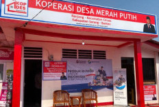 Bocoran Gaji dan Tunjangan SPPI Koperasi Merah Putih 2026: Intip Take Home Pay dan Fasilitasnya