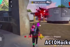 Cara Mudah Cheat FF (Free Fire) Menggunakan ZArchiver, Beserta dengan Link Download Versi Terbaru 2024!
