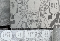 Lisez One Piece Chapitre 1114 Sous-titre Francais, une mission secrète de l'équipe du chapeau de paille