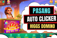 Download Aplikasi Auto Clicker Higgs Domino Versi Terbaru 2023, Gratis Mudah Dapat Jackpot!