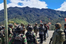 5 Poin Kesepakatan Deklarasi Provinsi Papua Nemangkawi Lengkap Dengan Pemetaan Wilayah Pemekarannya 