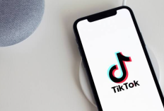 Link Video Durian Viral di TikTok HD Durasi Lengkap, Diburu Netizen Karena Bikin Ngiler!