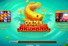 Download Golden Arowana Higgs Domino APK Versi 2023, Main Mudah Dapatkan Jackpot Besar