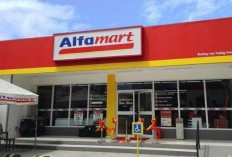 Daftar Harga Franchise Alfamart Terbaru April 2024 Beserta Informasi Kemitraan Juga Keuntungan!