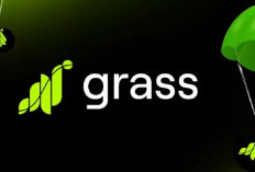 Grass Airdrop Season 2: Pengertian, Keuntungan, dan Cara Dapat Token Gratis