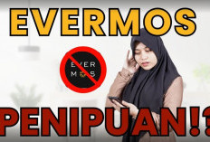 Apakah Evermos Penipuan? Waspada Hoax Banyak Mitra Tertipu! Cek Fakta Kebenarannya Disini