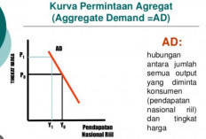 Apa itu Aggregate Demand, Rumus Pengukuran Ekonomi Lengkap Dengan Faktor Yang Mempengaruhinya