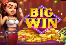 Baru 1 Menit yang Lalu! Daftar Kode Penukaran Higgs Domino Hari Jumat 23 Desember 2023, Banjir Chip Gratis!