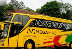BARU! Rekomendasi Bus Manado Makassar PP Terupdate Tahun 2023, Solusi Mudik Akhir Tahun!