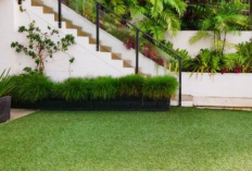 Daftar Harga Rumput Sintetis Per Meter Mei 2024 Berbagai Tipe, Kualitas Premium dan Harga Termurah