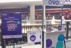 Booth OVO Surabaya, Tempat Pelayanan Stand yang Praktis di Mall Besar