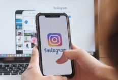 Mengenal IG Wrapped, Aplikasi Viral TikTok dan Twitter Untuk Mengetahui Stalker Instagram