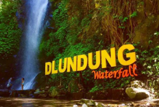 Air Terjun Dlundung, Mojokerto: Lokasi, Harga Tiket Masuk, Jam Operasional, & Syarat Masuk