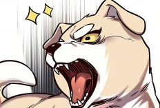 Baca Manhwa Eleceed Chapter 281 Bahasa Indonesia Ngakak Banget, Pluton Berubah Jadi Anjing Galak Gara-Gara Kayden