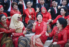 Daftar Nama Anggota DPR RI Fraksi PDI-P Periode 2024-2029 Siap Jadi Oposisi 