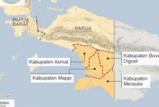 Simpan Pesona Alam Surgawi! Provinsi Papua Selatan Rencanakan Pemekaran Wilayah Guna Buka Potensi Wisata Bali Baru 